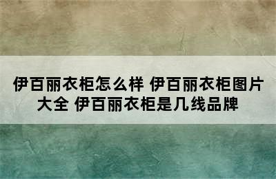 伊百丽衣柜怎么样 伊百丽衣柜图片大全 伊百丽衣柜是几线品牌